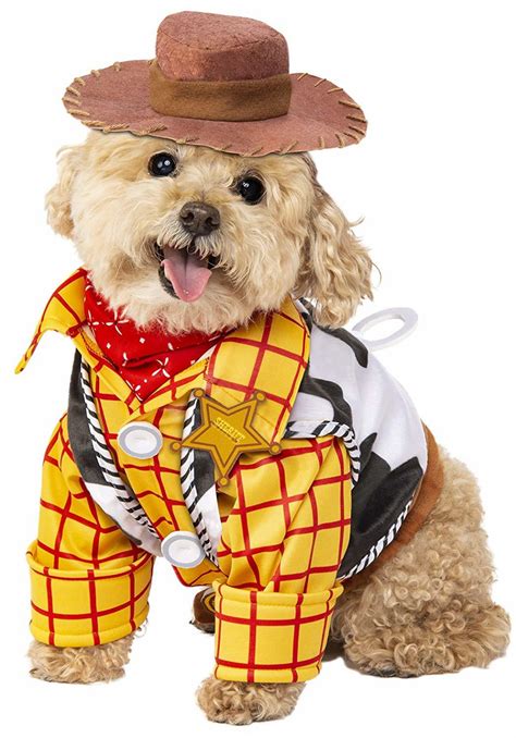 Costume Woody, Toy Story Dog Costume, Costume Chat, Costume Dress ...