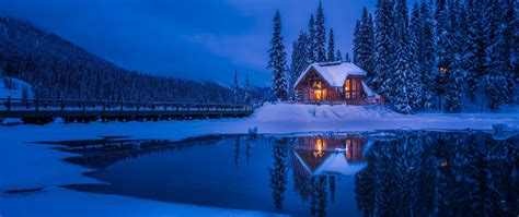 2560x1080 Resolution Forest House Covered in Snow 4K 2560x1080 ...