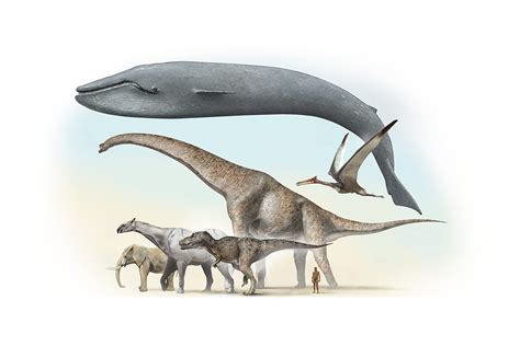 Size matters: Breakthrough study reveals how super-massive dinosaurs ...