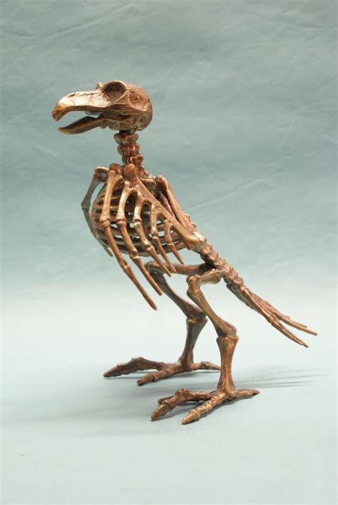 Bird Skeleton - Bronze Art by William Miles