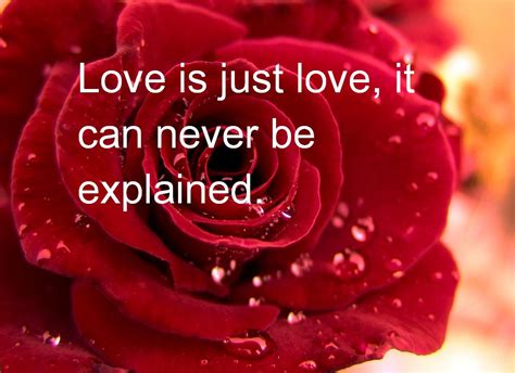 valentines day quotes 2016 -new latest pictures