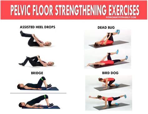 Inspiration 30 of Pelvic Floor Exercise For Men | anneinstavanger