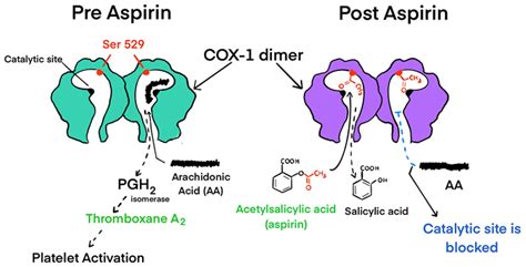 Aspirin Mechanism Of Action