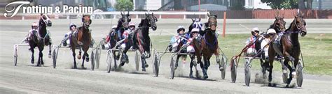 Harness Racing Race Results | Goshen Historic Track New York