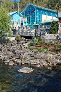 Ripley’s Aquarium Gatlinburg – Inside Gatlinburg TN – Gatlinburg ...