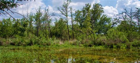 Utopia Texas - Texas Hill Country