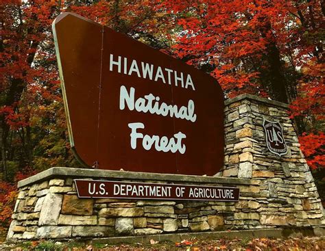 Drought leads to campfire restrictions at Michigan’s Hiawatha National ...