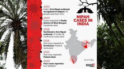 Nipah virus outbreak in Kerala: All you need to know