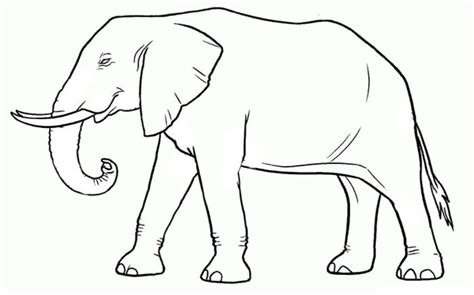 Sketsa Gambar Mobil Kartun Mewarnai Hewan Gajah Kawin - IMAGESEE