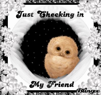 Just Checking in..... My friend | Friendship pics, Cute gif, Friends gif