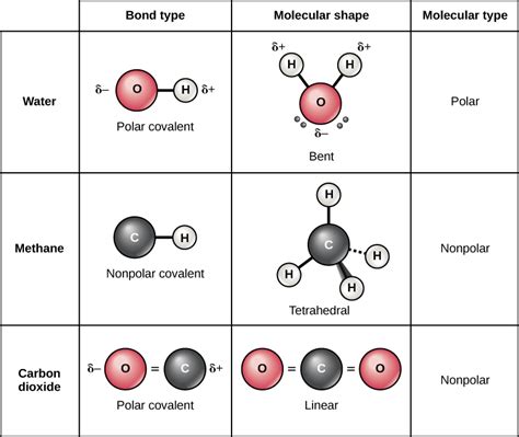 Why Is Methane Nonpolar