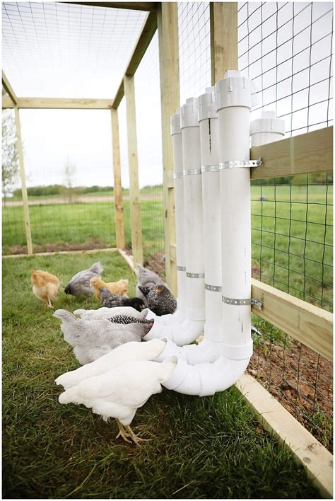 PVC DIY Chicken Feeders | Chicken feeder diy, Chicken diy, Chicken feeders