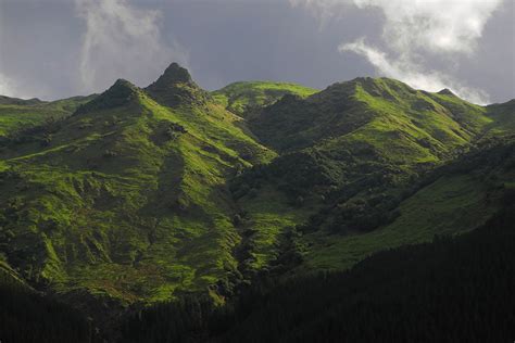 Mt Hikurangi 2014 - 08 - Occasional Climber