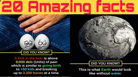 Top 10 Facts About Earth