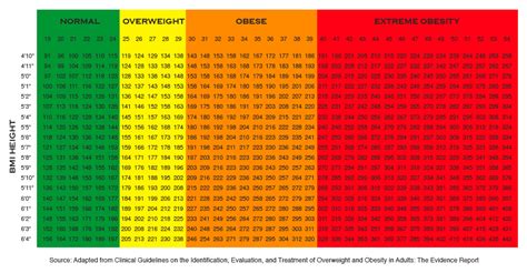 Morbidly Obese BMI, Its Index, and the Way for Reducing It