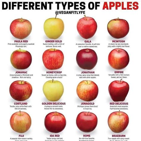 How well do you know your apples? . . .All original content TAG US 👉 ...