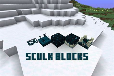 All Types of Sculk Blocks in Minecraft 1.19 - Explained! (2022) | Beebom