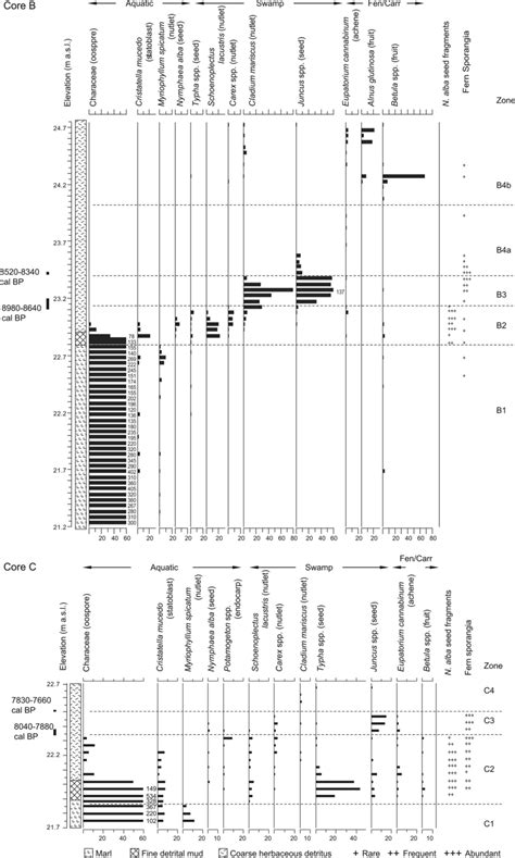 a, b Plant macrofossil profiles, core B (top) and C (bottom). Total ...