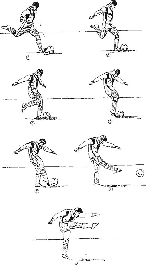 Figure 2.2 from Biomechanical analysis of instep kick in soccer ...