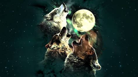 Wolf Howling At The Moon Wallpaper (66+ images)