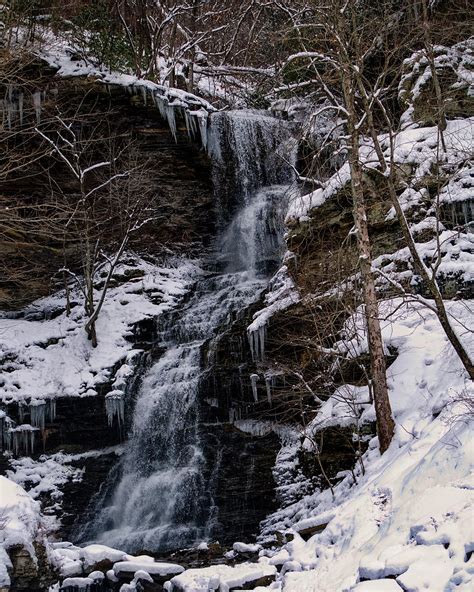 Long Shot 2 Of A Winter Cathedral Falls Photograph by Flees Photos ...