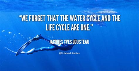 Cycle Quotes. QuotesGram