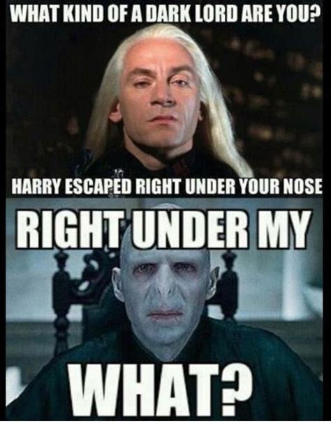 Voldemort's Nose... Harry Potter | Harry potter memes hilarious, Harry ...