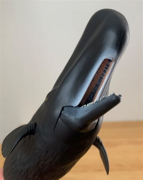 Sperm Whale, 2018 (Marine Life by Papo) | Animal Toy Blog