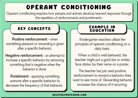 13 Operant Conditioning Examples (2024) - Worksheets Library