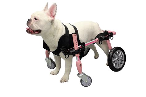 Front Neoprene Harness for Walkin' Wheels Dog Wheelchair | Dog ...