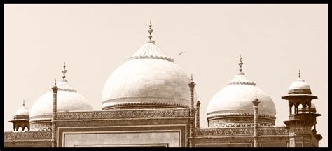 Domes, Taj Mahal | Taj mahal, Landmarks, Building