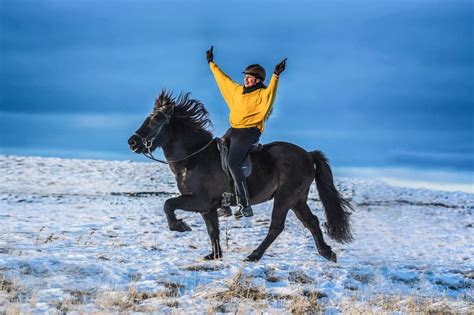 The Best Horse Riding Destinations in Iceland - BookHorseRidingHolidays.com