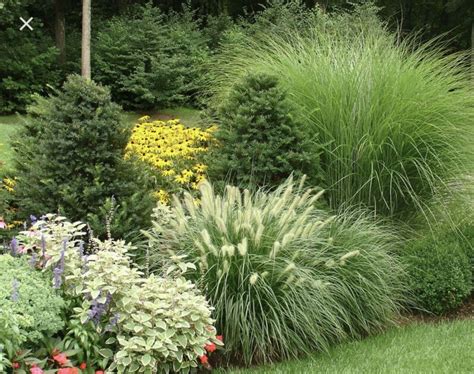 Pin by Julie Hardaway on Flower Bed Ideas | Grasses landscaping ...