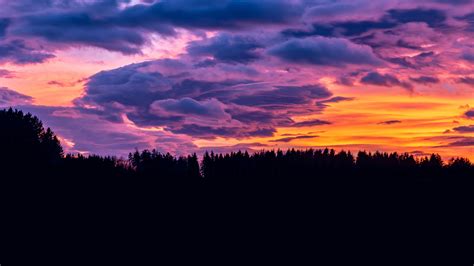 Sunset Clouds Forest 4k, HD Nature, 4k Wallpapers, Images, Backgrounds ...