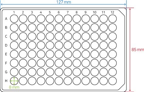 96 Well Plate Template Editable - Printable Word Searches