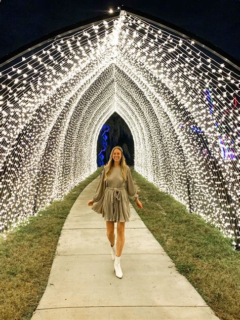 Lightscape at the Houston Botanic Garden: Everything You Need to Know ...