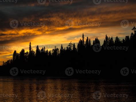 Silhouette of forest at sunset 909832 Stock Photo at Vecteezy