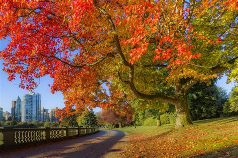 How to See Canada's Fall Foliage at Its Peak