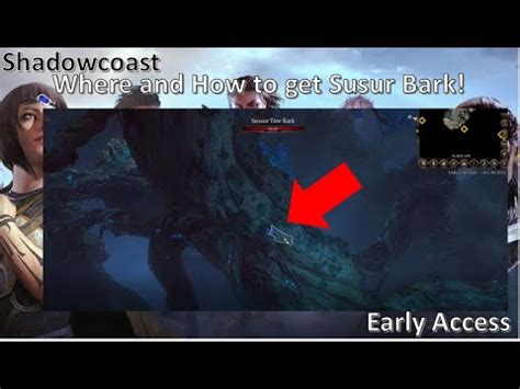 Where and how to get Susur Bark in Baldur's Gate 3 - YouTube