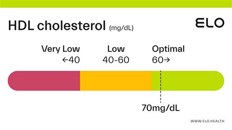 HDL Cholesterol: 70 mg/dL