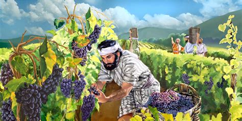 Illustration of the Workers in the Vineyard — Watchtower ONLINE LIBRARY