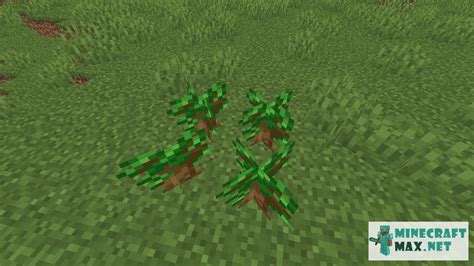 Dark Oak Sapling | How to craft dark oak sapling in Minecraft ...