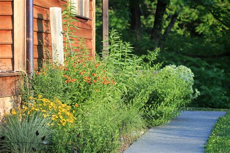 Crow's Nest: The hot garden - Natural Lands