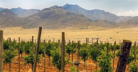 Sonoita Vineyards | Visit Arizona