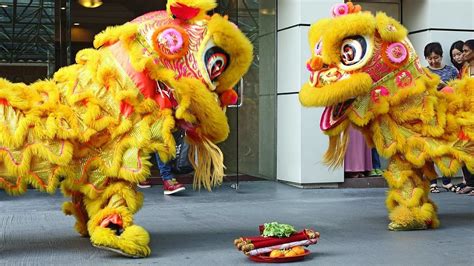 Malaysia's gravity-defying lion dancers brought down to earth by ...