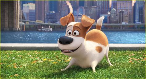 'Secret Life of Pets' Cast - Meet the Voices of the Characters!: Photo ...