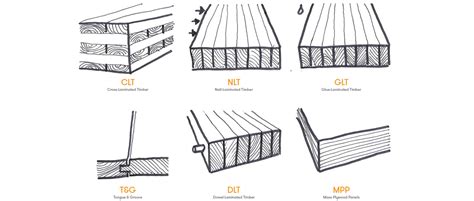 Mass Timber's Rise in Construction - Holmes