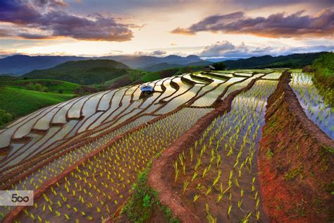 Chiang Mai rice terraces | Thailand destinations, Chiang mai, Places to go