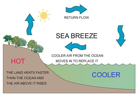 Land Sea Breeze Diagram