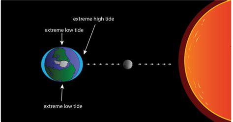 Sun and Moon Influence Ocean Tides More Than You Think - Great Lakes Ledger